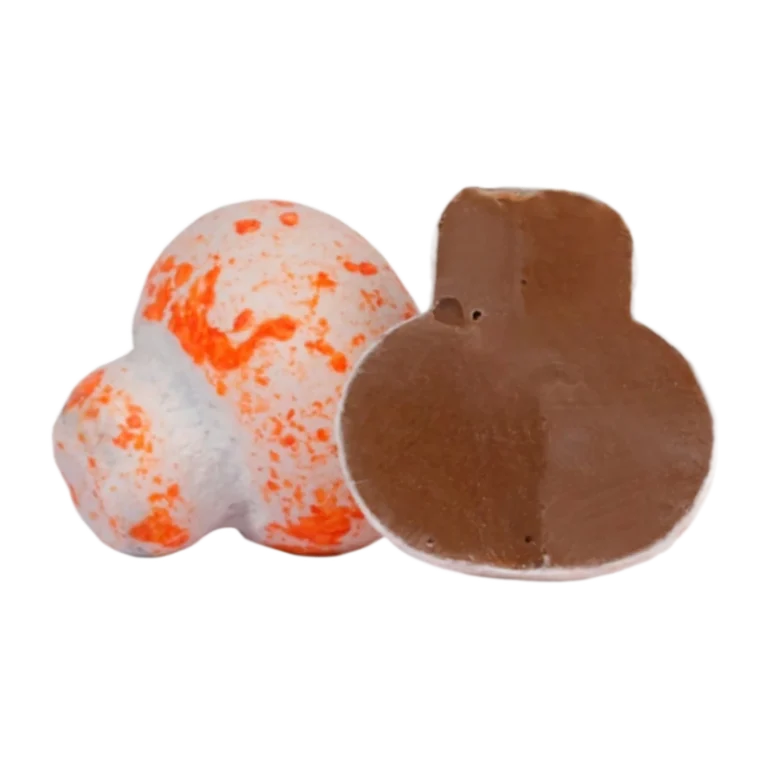 Mushroom dragee 1000gr