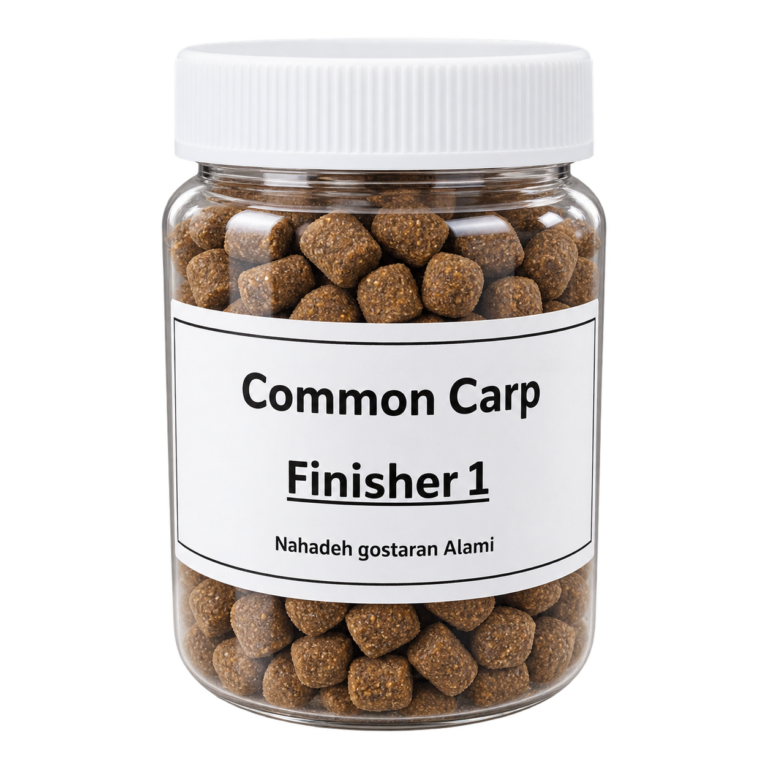 Common Carp Finisher 1