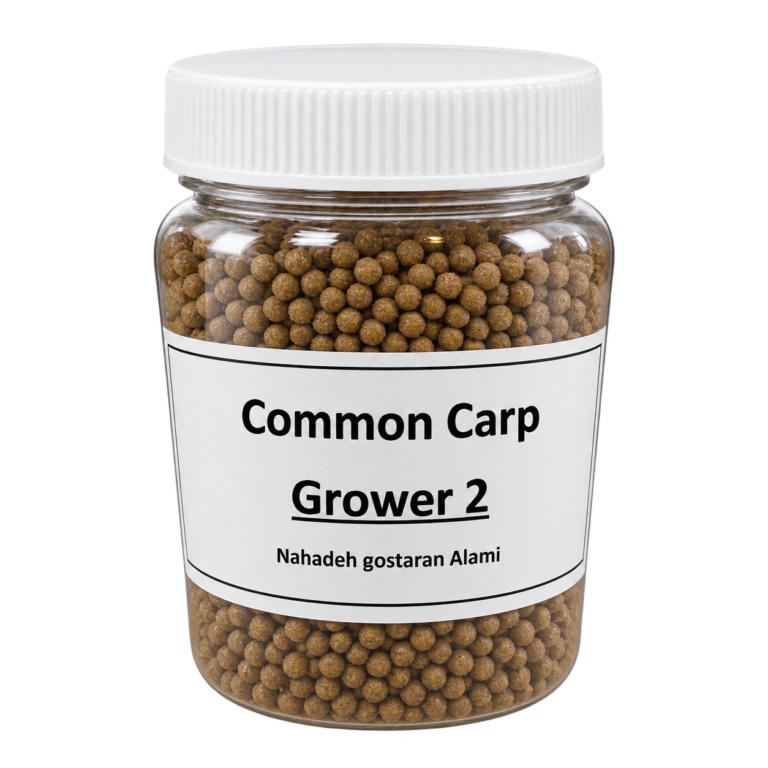 Common Carp Grower 2