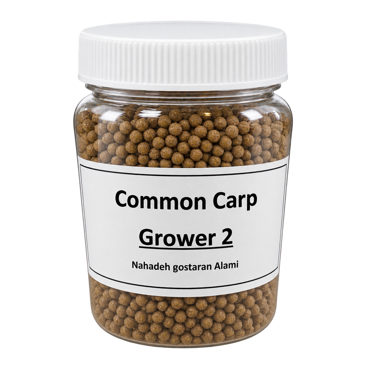 grower-2-regenerated-v3 Common Carp Grower 2