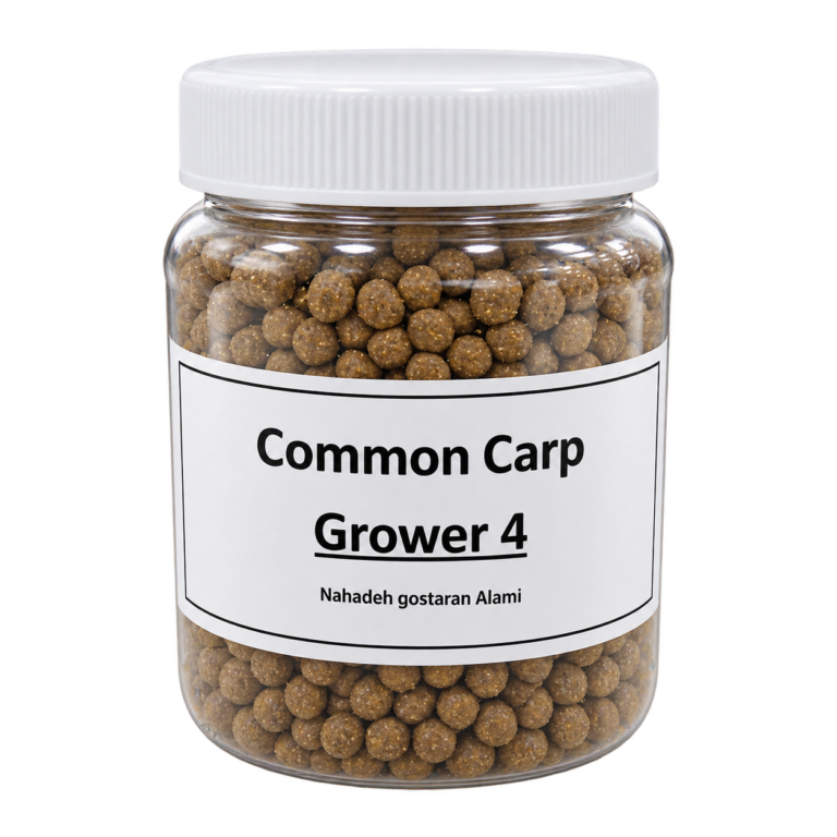 Common Carp Grower 4